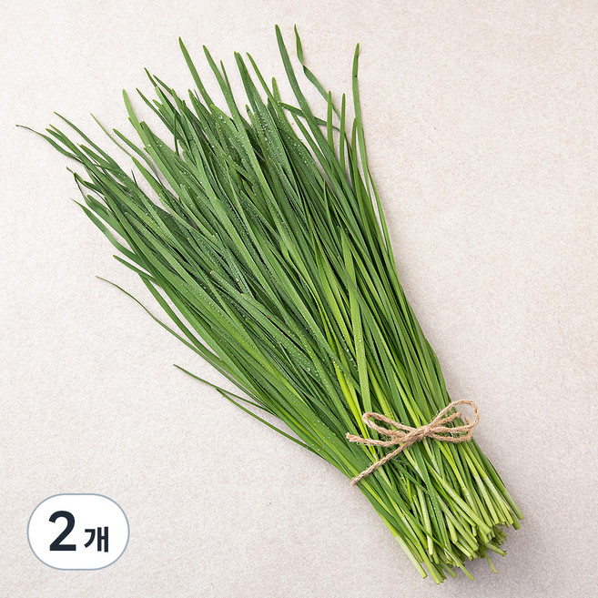 국내산 친환경 부추, 200g, 2개