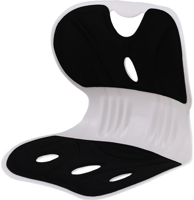 대한 몰 1인용 바른자세 등받이 좌식의자, 딥 블랙