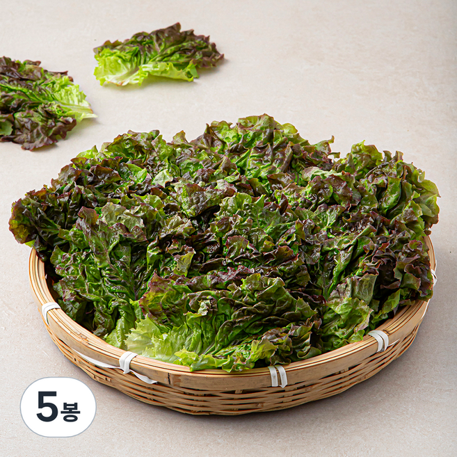 국내산 적상추, 300g, 5봉
