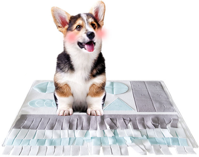 벨버드 댕댕이 미니매트 IQ 장난감, 화이트, 1개