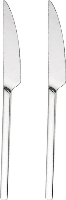 Chieh Pao 潔豹 牛排刀/西餐刀/刀子 24.5 x 2cm, 銀色, 2支