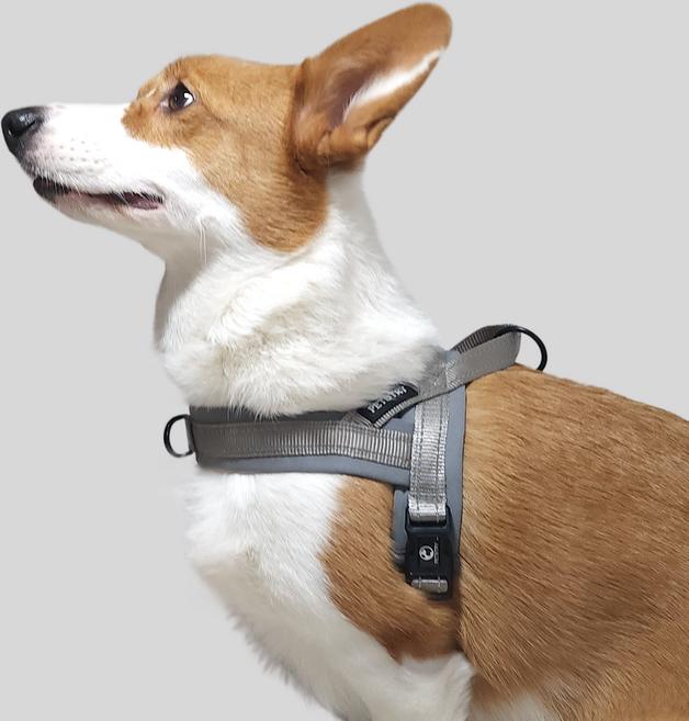 펫스츄리 강아지 에어쿠션 이지워크 하네스, GRAY, 1개
