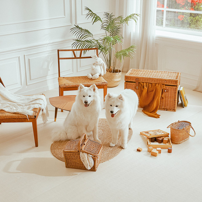 Riposo 엔젤 롤 강아지 매트, 크림베이지, 1개