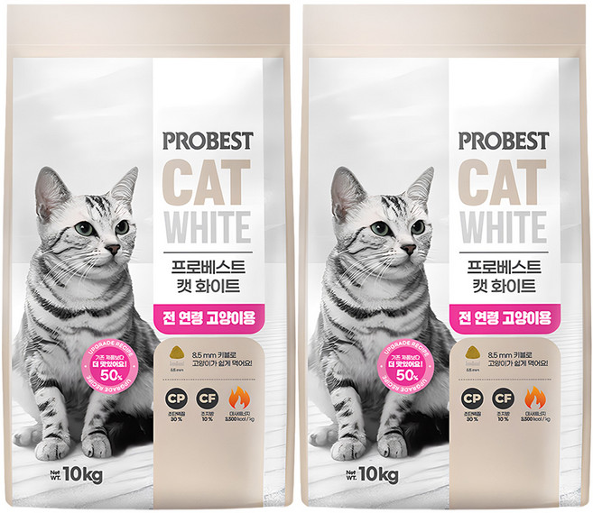 프로베스트 전연령 캣 화이트 건식사료, 오리, 10kg, 2개