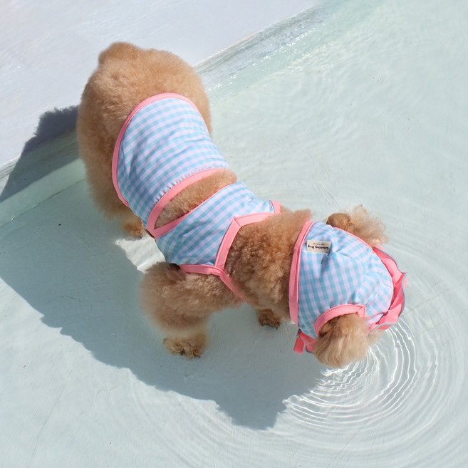 그루밍독 반려동물 댕키니 수영복, 블루, 1개