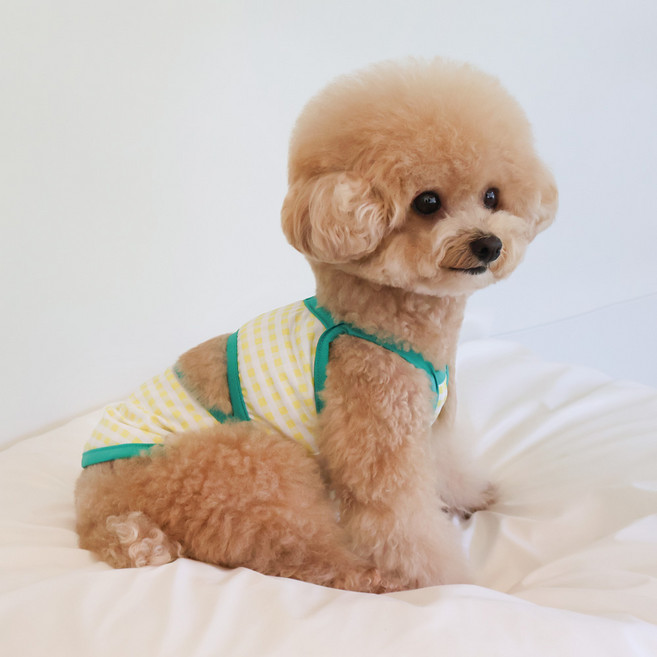 그루밍독 반려동물 댕키니 수영복, 그린, 1개