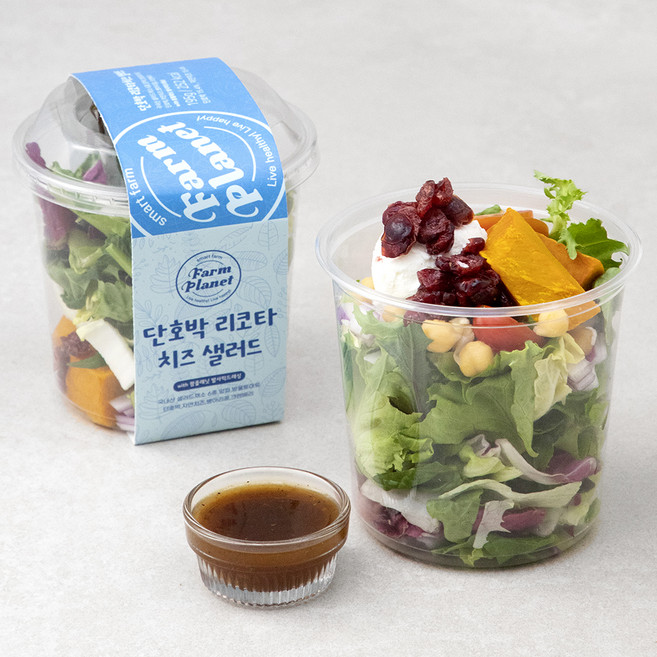 팜플래닛 단호박 리코타치즈 샐러드, 195g, 2개