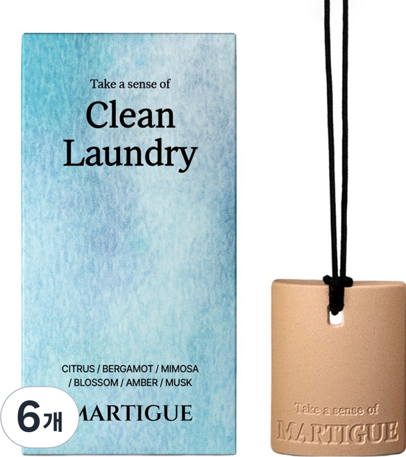 마르티그 차량용 퍼퓸 테라코타 디퓨저, 6개, 클린런드리