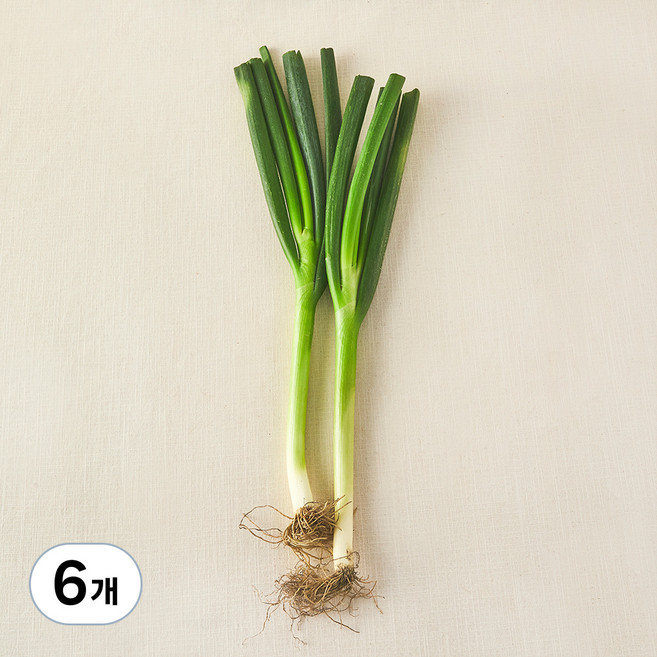 국내산 무농약 대파, 300g, 6개
