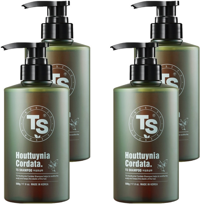 TS 어성초 탈모증상완화 샴푸, 500g, 4개