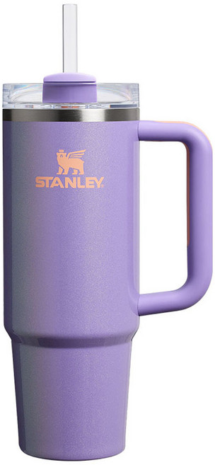스탠리 퀜처 H2.0 플로우 스테이트 텀블러, 페리윙클쉬머, 887ml, 1개