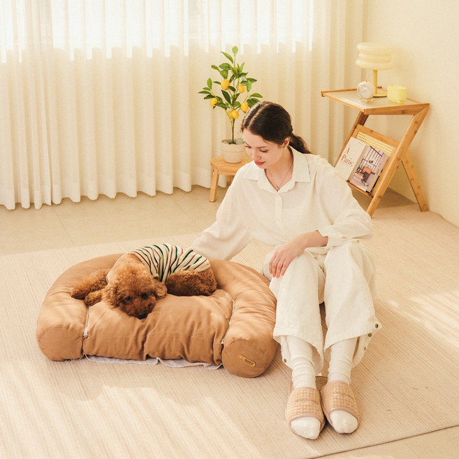 개과천선 강아지 더문 방석, 라이트브라운, 1개