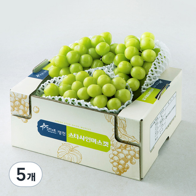 금호농협 영천 샤인머스캣, 5개, 1.5kg