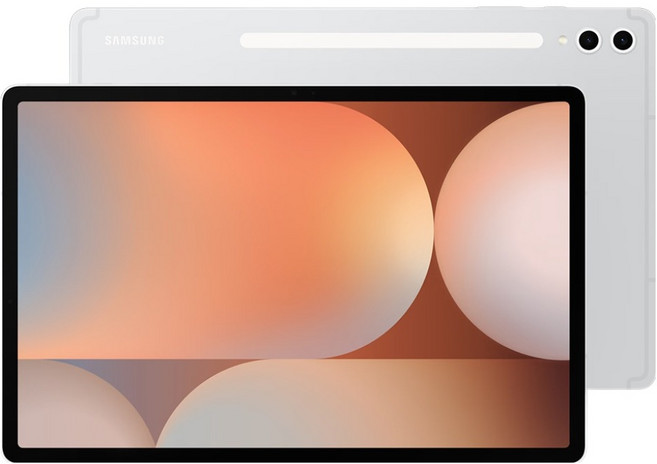 SAMSUNG 三星 Galaxy Tab S10+ 平板電腦 原廠保固, 鉑金銀, 256GB, Wi-Fi