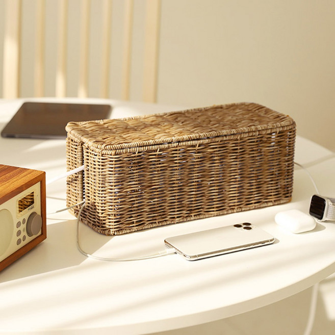 네이쳐리빙 데이지가든 라탄 멀티탭 정리함, 1개