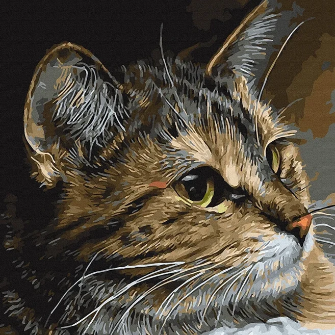 ArtLife 藝術生活 數字油畫DIY DT022 40 x 50cm, 愛與憐, 1個