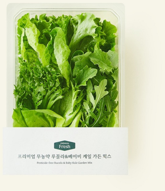 프리미엄 무농약 루꼴라&베이비 케일 가든 믹스, 150g, 1개입, 2개