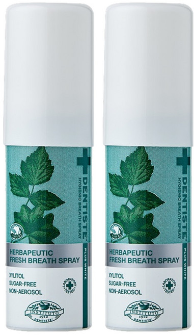 덴티스테 브레스 구강스프레이, 15ml, 2개