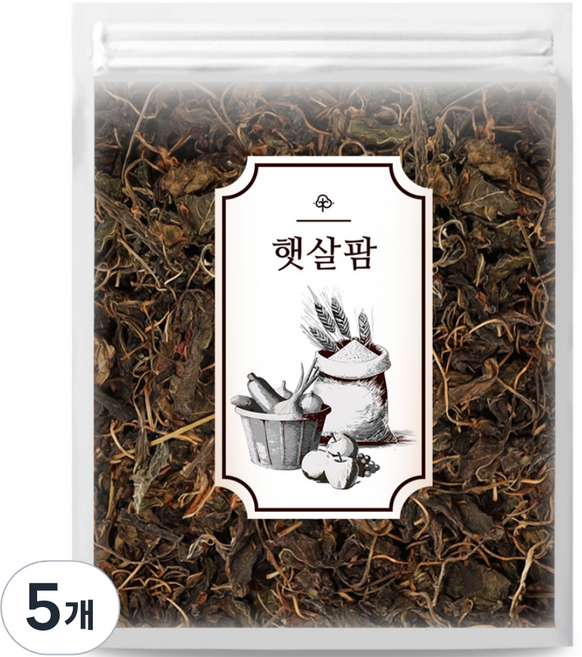 햇살팜 국산 건고추잎, 100g, 5개