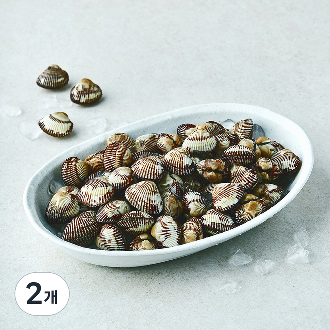 산지직송 부산 13번 중매인 새꼬막 (냉장), 2개, 800g