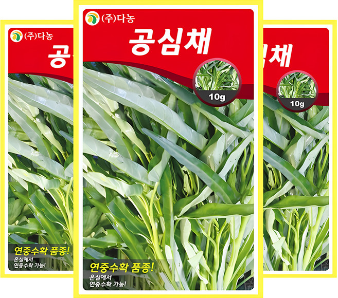 다농 공심채 씨앗, 3개
