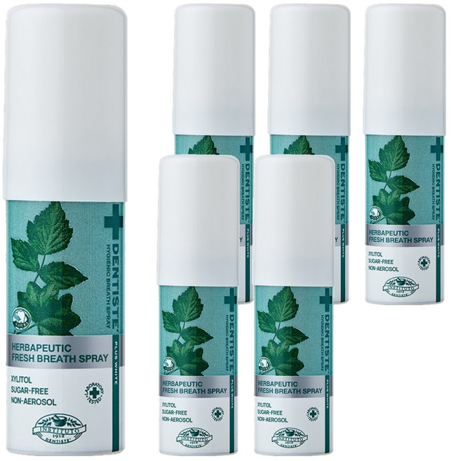 덴티스테 브레스 구강스프레이, 15ml, 6개