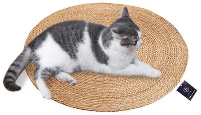 딩동펫 고양이 부들 라운드 스크래쳐 매트, 1개