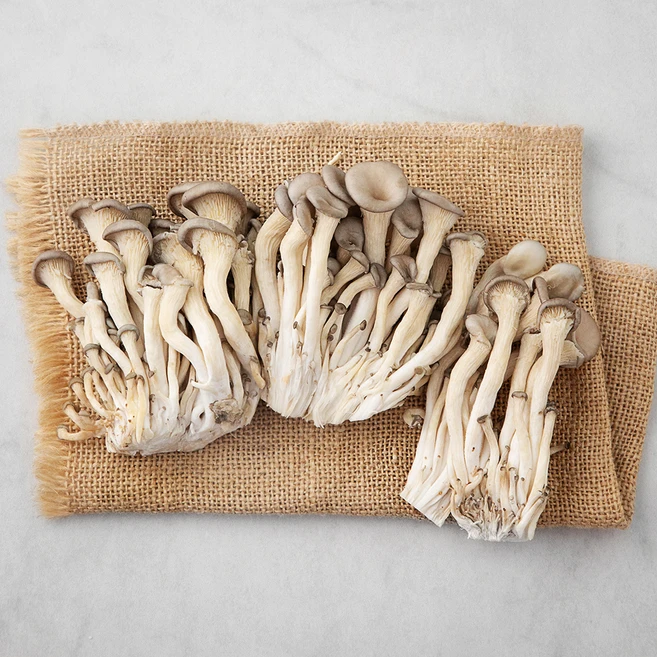 국내산 친환경 느타리버섯, 200g, 1개 - 쿠팡