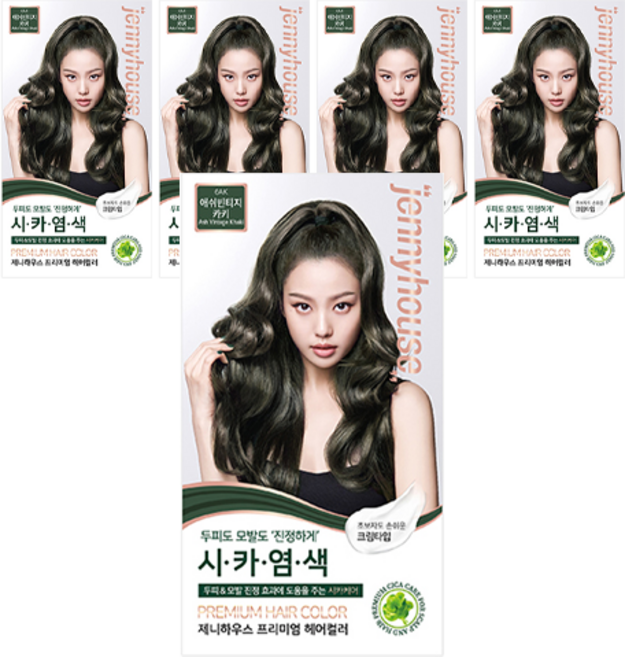 제니하우스코스메틱 프리미엄 헤어컬러 염모제, 애쉬빈티지카키6AK, 5개