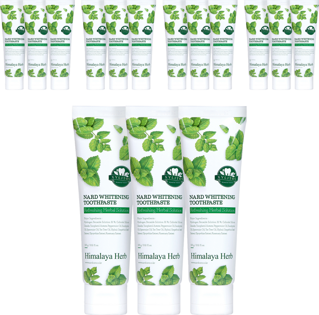 나드 부케가르니 미백 치약, 100g, 15개