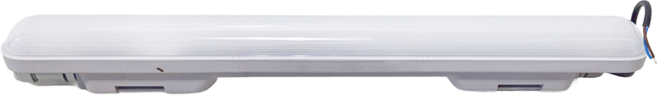 DANCELIGHT 舞光 18W鯨魚防潮燈 ODWAJY18D 60 x 7.2 x 7cm, 白光