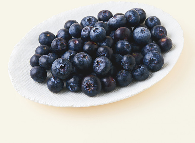 칠레산 세코야 블루베리, 278g, 1개