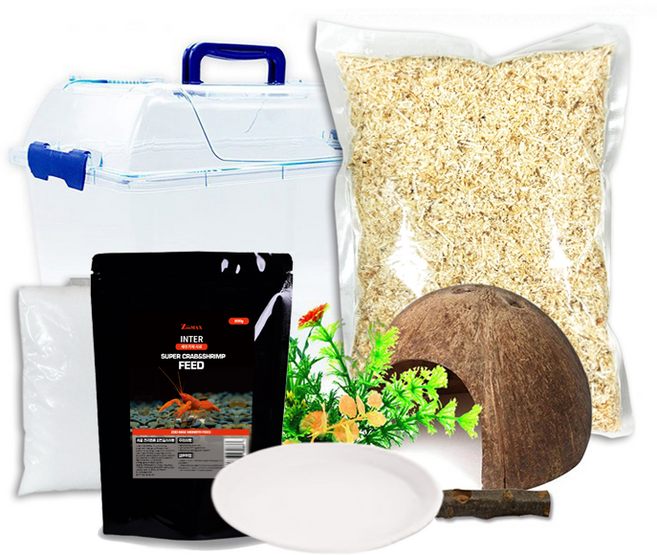 로라펫 소라게 키우기 세트 아스펜베딩, 혼합색상, 1개