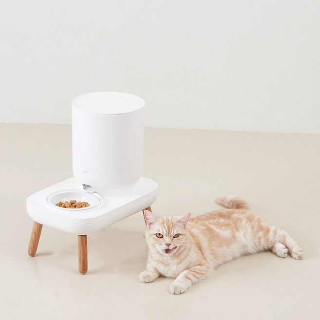 DUIT 더테이블 플러스 자동급식기 + 그릇 M + 우드 긴 다리, 3L, 혼합색상, 1세트