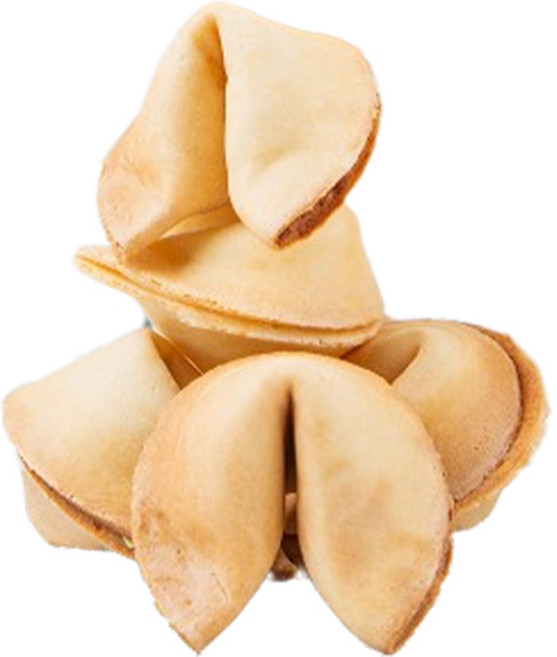 FortuneCookie 독서명언 포스터 랜덤발송 + FortuneCookie 400p 세트, 400개, 5g