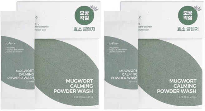 이즈앤트리 머그워트 카밍 파우더 워시 효소 클렌저, 25g, 2개