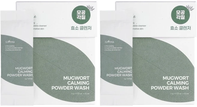 이즈앤트리 머그워트 카밍 파우더 워시 효소 클렌저, 25g, 2개 - 쿠팡