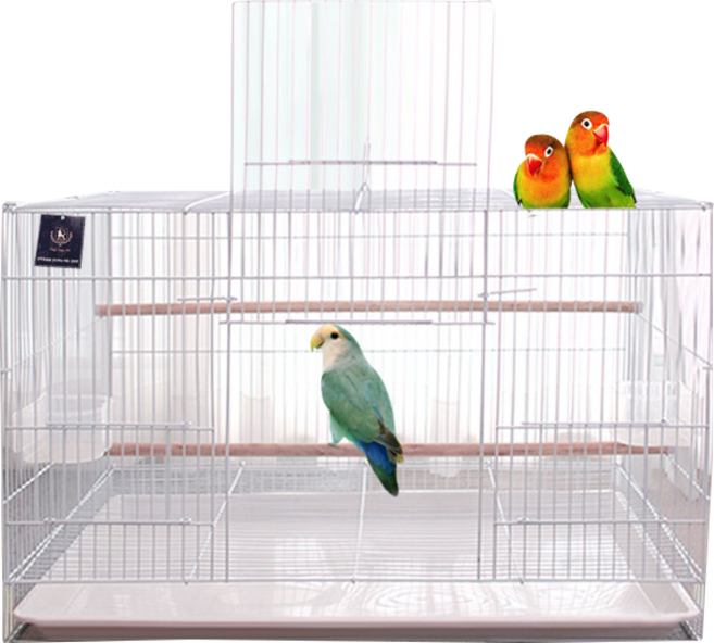 딩동펫 앵무새 새장 날림장 케이지, 혼합색상, 1개