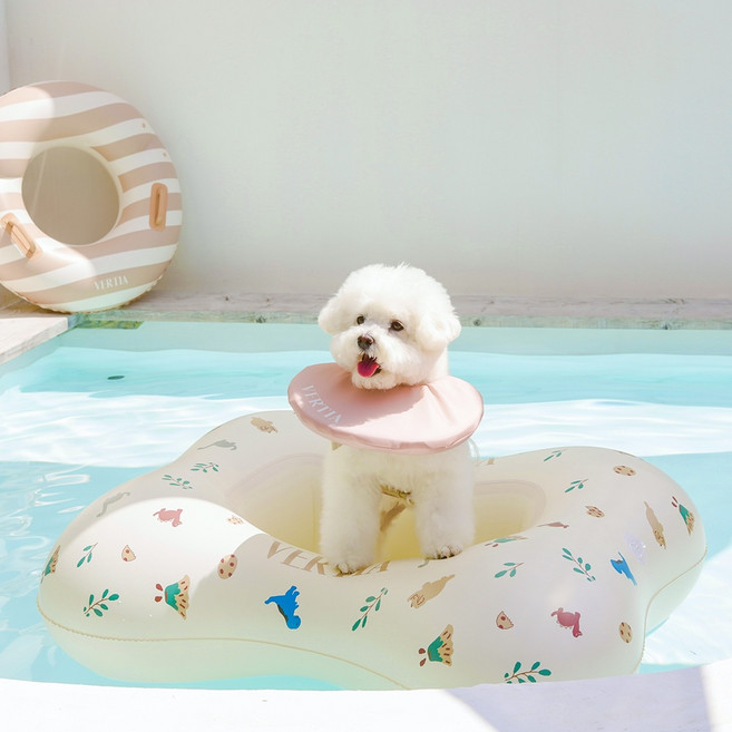 베르띠아 반려동물 펫튜브 쥬라기, 혼합색상, 1개