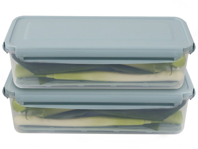 나누담 파 대파 야채 채소 보관 밀폐용기, 2개, 1.7L