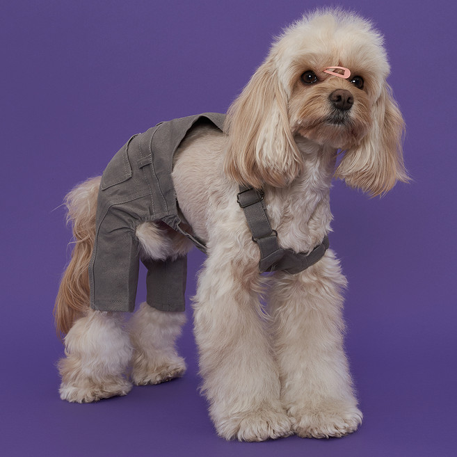 도그아이 베이직 코튼 팬츠, 코코아, 1개