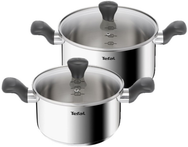 테팔 인덕션 이지쿡 냄비 2개, 실버, 양수냄비 20cm + 24cm, 1세트