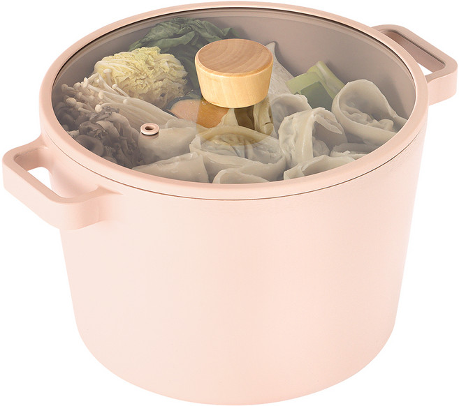 네오플램피카 인덕션 오브제 곰솥 냄비, 22cm, 미니피치, 1개