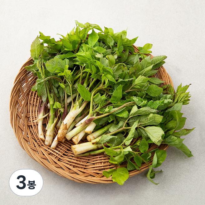 국내산 땅두릅, 200g, 3봉