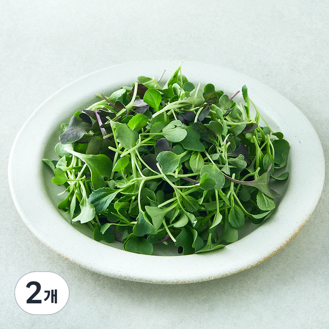 유기농 베이비채소, 2개, 100g