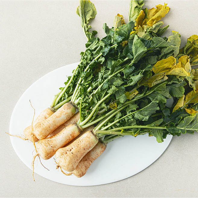 국내산 알타리무, 1kg, 1개