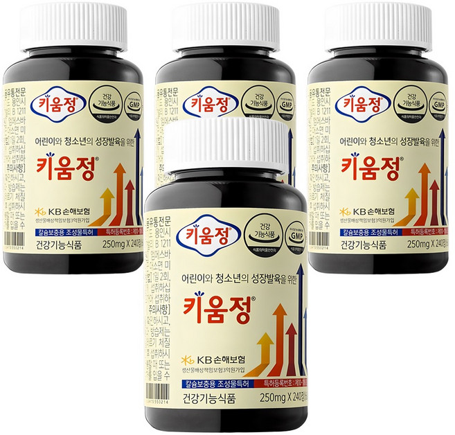 키움정, 240정, 4개