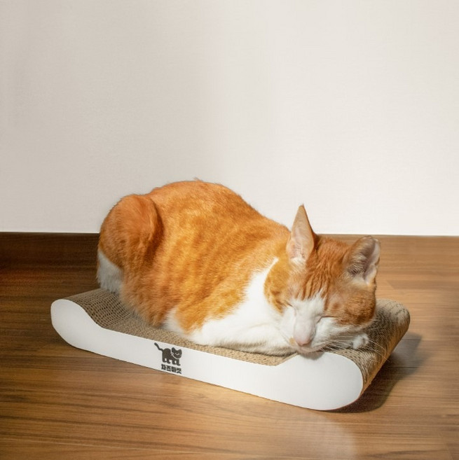 차즈마켓 고양이 베이직 평판 침대 스크래쳐, 화이트, 1개