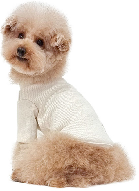 펫츠랜드 반려동물 허쉬 니트 티셔츠, 아이보리, 1개