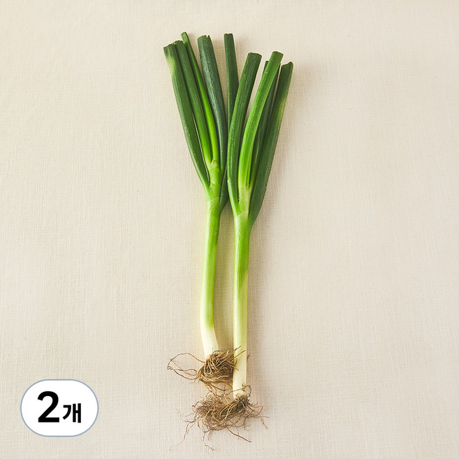 국내산 무농약 대파, 300g, 2개